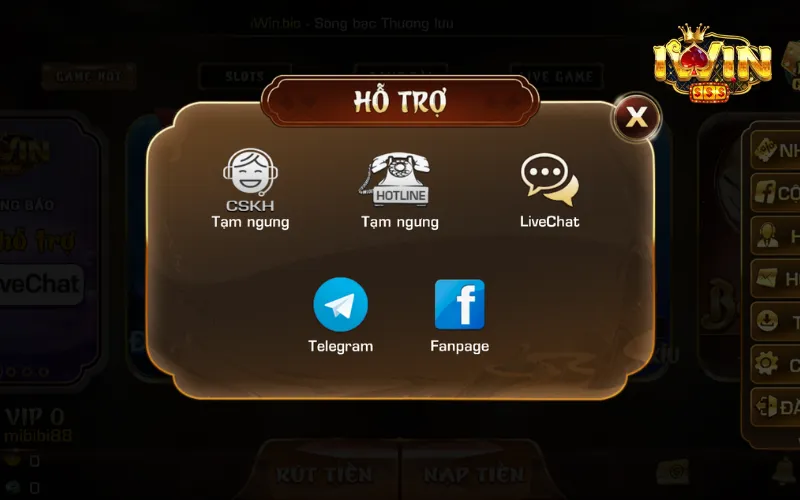 Các kênh chăm sóc khách hàng được Iwin cung cấp
