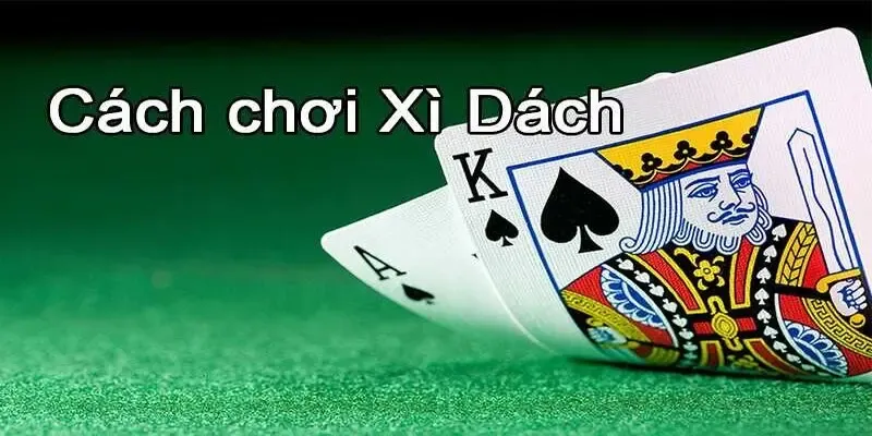 mẹo chơi xì dách